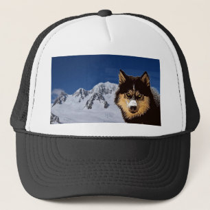 Siberian Husky Pet