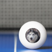 Siberian Husky Pingpongbal (Net)