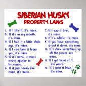 SIBERIAN HUSKY PL2 POSTER (Voorkant)