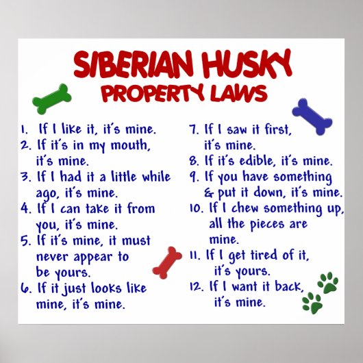 SIBERIAN HUSKY PL2 POSTER (Voorkant)