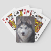 Siberian Husky Pokerkaarten (Achterkant)