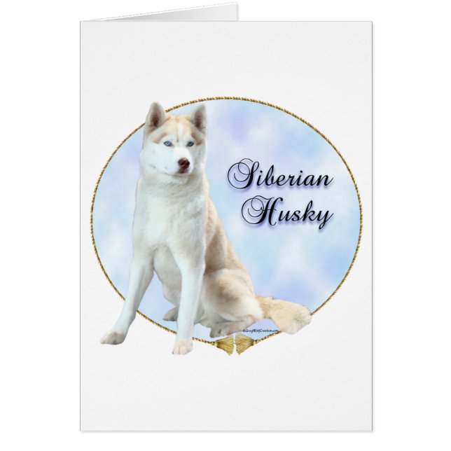 Siberian Husky Portrait (Voorkant)