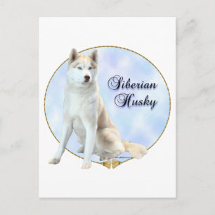 Siberian Husky Portrait Briefkaart