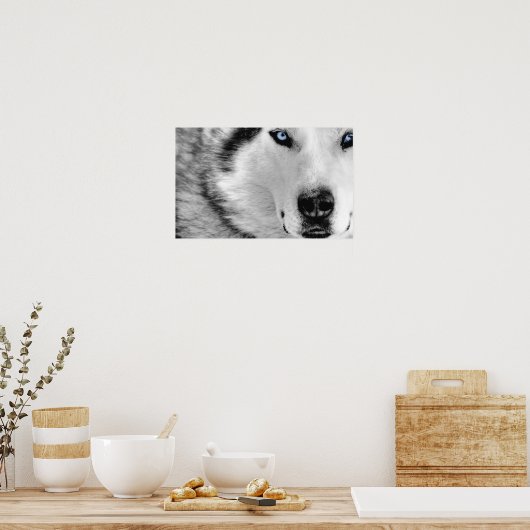 Siberian Husky Poster (Keuken)