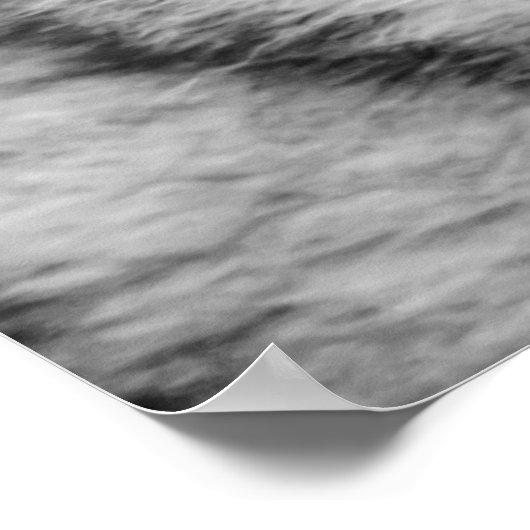 Siberian Husky Poster (Hoek)