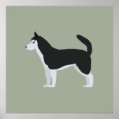 Siberian Husky Poster (Voorkant)