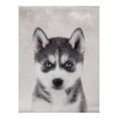 Siberian Husky Poster (Voorkant)