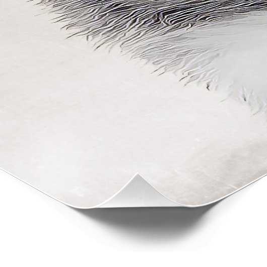 Siberian Husky Poster (Hoek)