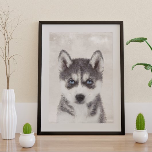 Siberian Husky Poster
