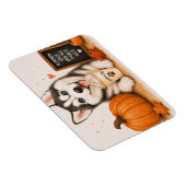 Siberian Husky Pumpkin Spice Magneet (Rechterzijde)
