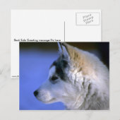 Siberian Husky pup Briefkaart (Voorkant / Achterkant)