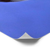 Siberian Husky pup Poster (Hoek)