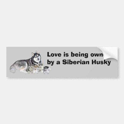 Siberian Husky & Puppies Bumpersticker (Voorkant)