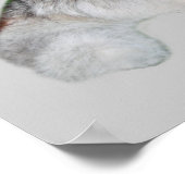 Siberian Husky & Puppies Print (Hoek)