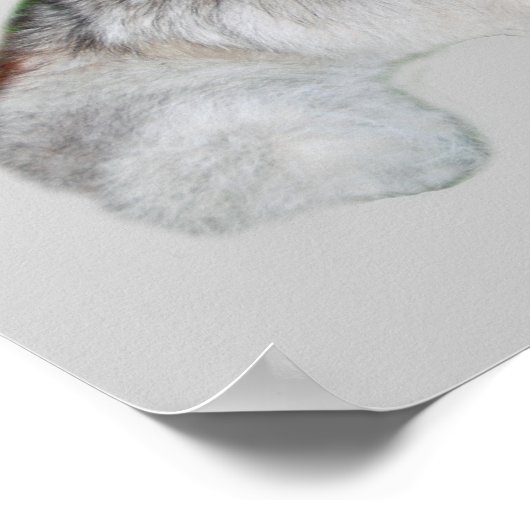 Siberian Husky & Puppies Print (Hoek)