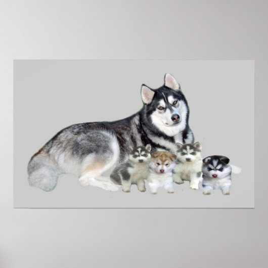 Siberian Husky & Puppies Print (Voorkant)