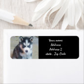 Siberian Husky Puppy Adresetiketten Etiket (Insitu)