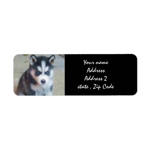 Siberian Husky Puppy Adresetiketten Etiket (Voorkant)