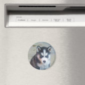 Siberian Husky puppy art Magneet (Insitu (Vaatwasser))
