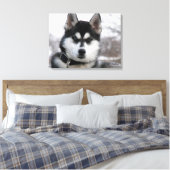 Siberian Husky Puppy Canvas Afdruk (Insitu (Slaapkamer))