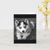 Siberian Husky Puppy Dog Blank Kaart (Gele Bloem)