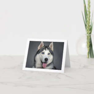 Siberian Husky Puppy Dog Blank Note Card Kaart