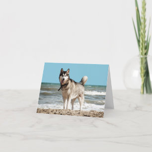 Siberian Husky Puppy Dog Blank Note Card Kaart