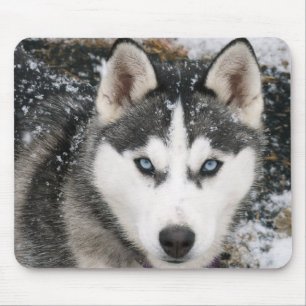 Siberian Husky Puppy Dog in Snow Mousepad Muismat