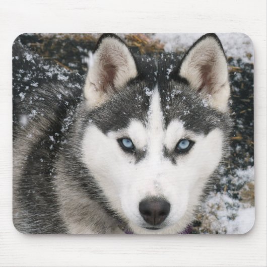 Siberian Husky Puppy Dog in Snow Mousepad Muismat (Voorkant)