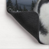 Siberian Husky Puppy Dog Winter Snow Muismat (Hoek)