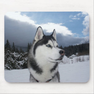 Siberian Husky Puppy Dog Winter Snow Muismat
