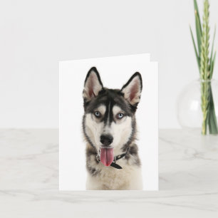 Siberian Husky Puppy Hond Hallo, Ik denk aan je Kaart
