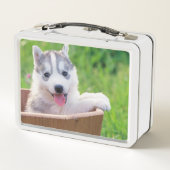 Siberian Husky Puppy in een pot (Achterkant)
