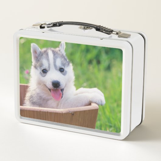 Siberian Husky Puppy in een pot (Achterkant)