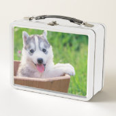 Siberian Husky Puppy in een pot (Voorkant)