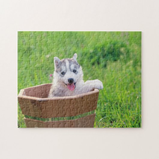Siberian Husky Puppy in een pot Legpuzzel (Horizontaal)