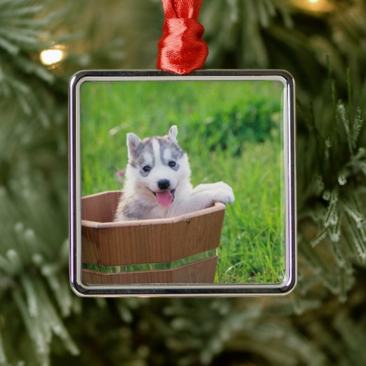Siberian Husky Puppy in een pot Metalen Ornament (Boom)