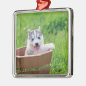 Siberian Husky Puppy in een pot Metalen Ornament (Links)