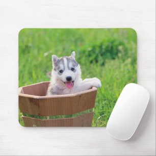 Siberian Husky Puppy in een pot Muismat