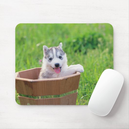 Siberian Husky Puppy in een pot Muismat (Met muis)