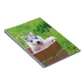 Siberian Husky Puppy in een pot Notitieboek (Rechterzijde)