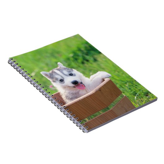 Siberian Husky Puppy in een pot Notitieboek (Rechterzijde)