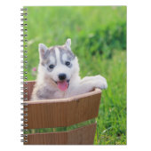 Siberian Husky Puppy in een pot Notitieboek (Voorkant)