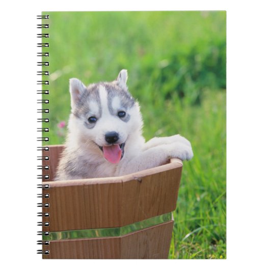 Siberian Husky Puppy in een pot Notitieboek (Voorkant)