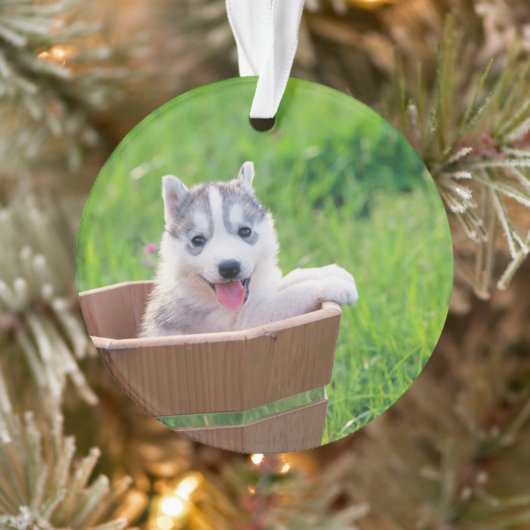 Siberian Husky Puppy in een pot Ornament (Boom)