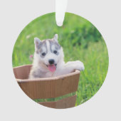 Siberian Husky Puppy in een pot Ornament (voorkant)