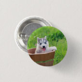 Siberian Husky Puppy in een pot Ronde Button 3,2 Cm (Voorkant /achterkant)