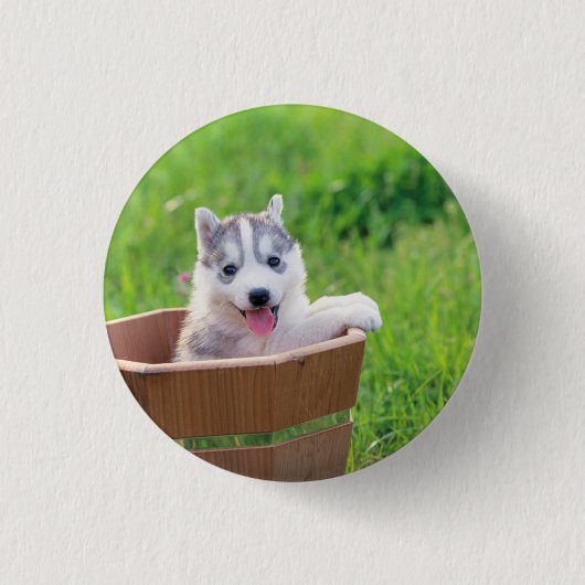 Siberian Husky Puppy in een pot Ronde Button 3,2 Cm (Voorkant)