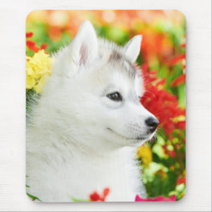 Siberian Husky Puppy in Flowers Mousepad Muismat