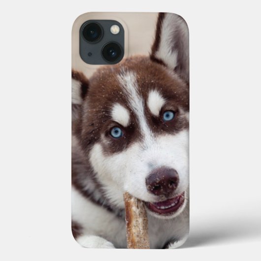Siberian Husky Puppy in het strand Case-Mate iPhone Case (Achterkant)